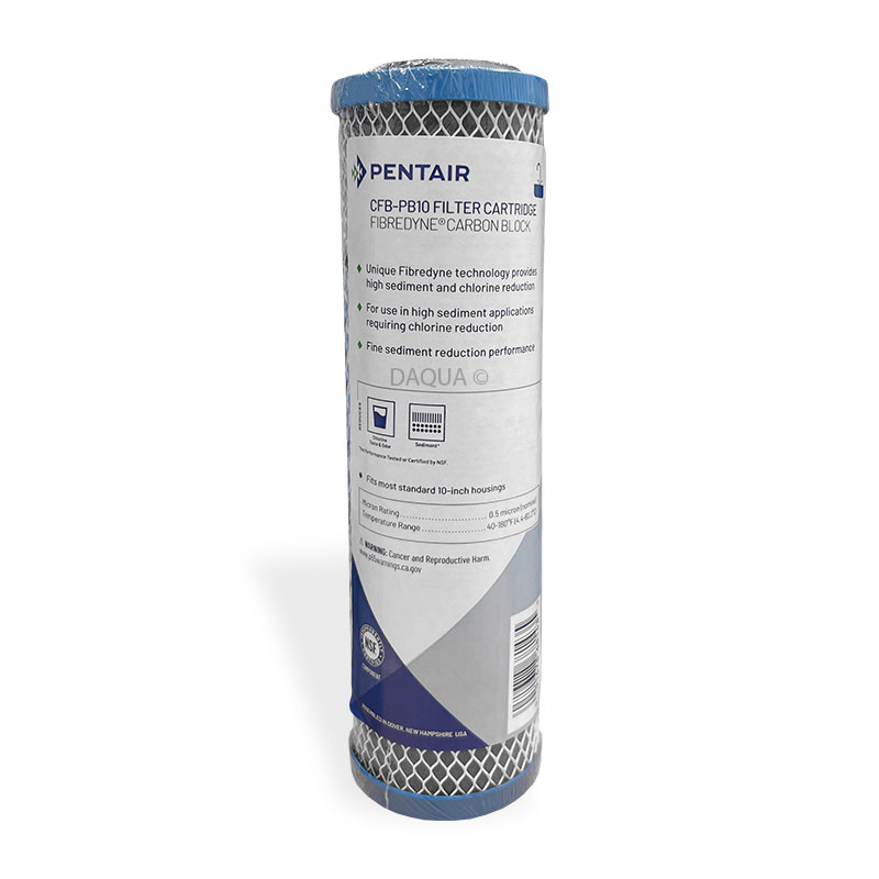 Pentair CFB-PB10